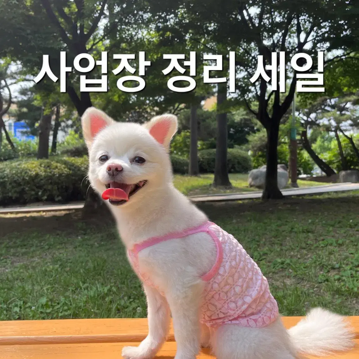 강아지옷 반려견옷 시스루나시